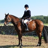 Field Hunter Championship of America : Glenwood Race Course